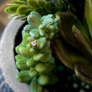 BVLA Mini Kandy in Solid 14k Rose Gold with Genuine Moonstone (threadless)